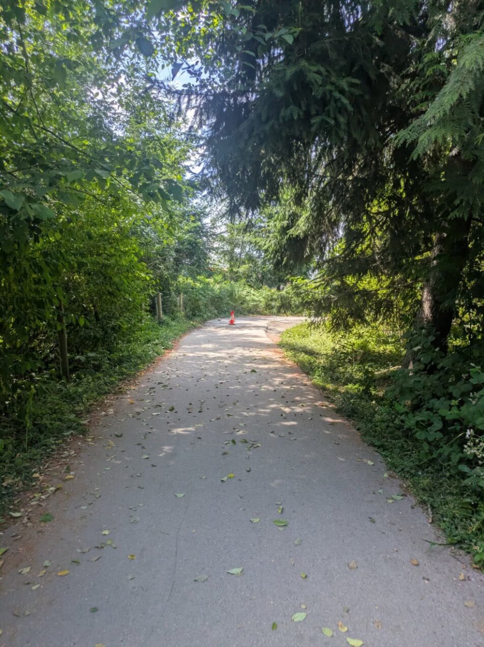 The tree-lined Parry Evans Trail with the former gate location marked by a single traffic cone