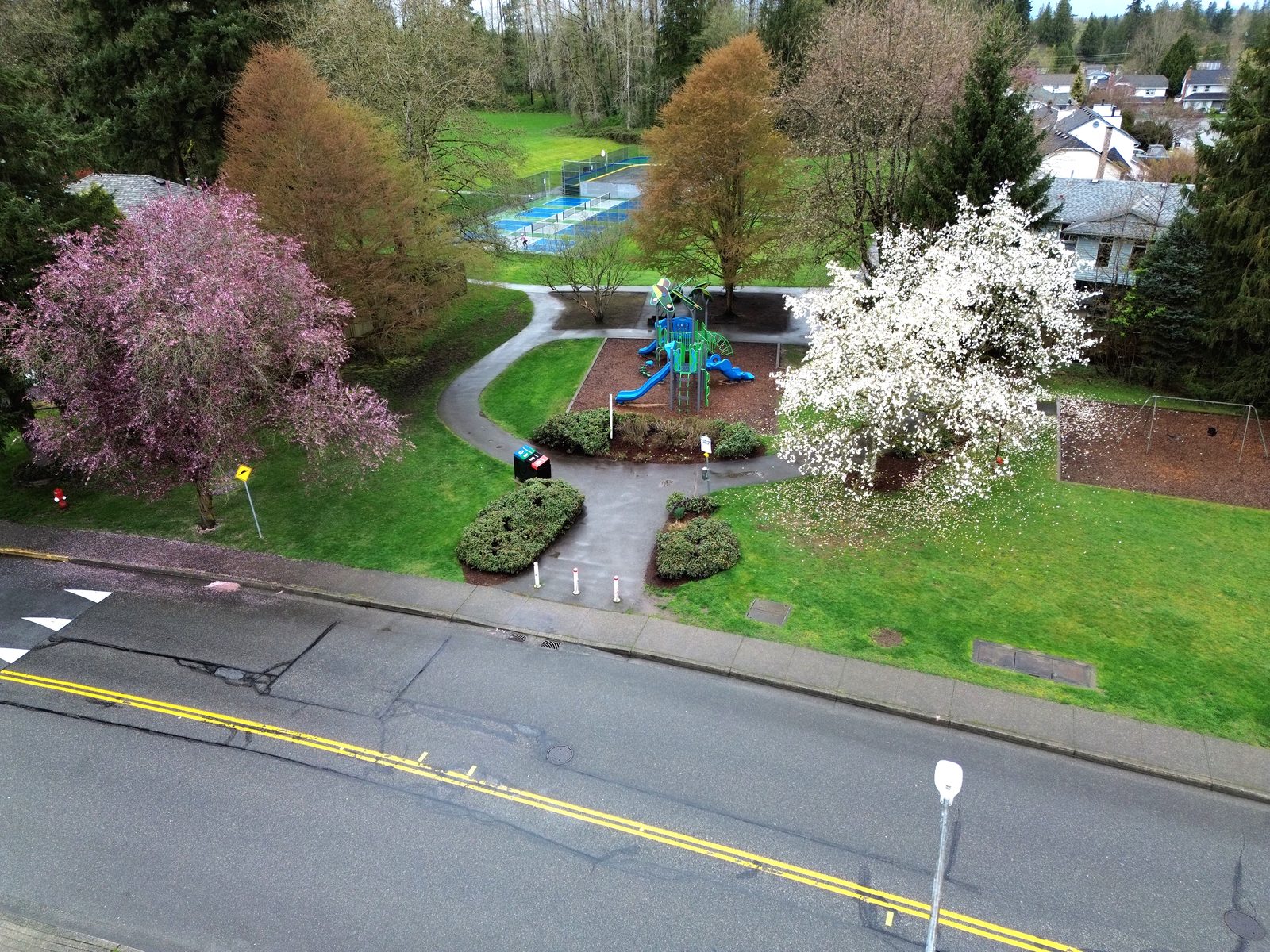A Walnut Grove park in bloom from above